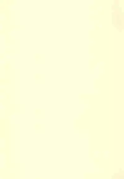 Dakara Tokyo Shounen na wake