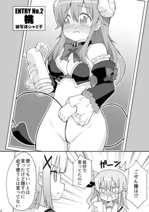 Wareme Mienai Shashin Senshuken 2