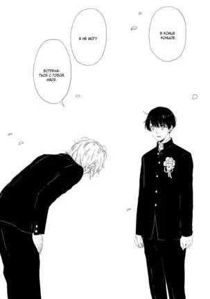 The Daydreamer Falls in Love