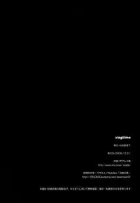 (C71) [Shinpakusu Teika (Usami Rui)] :ragtime (Fate/stay night) [Chinese]