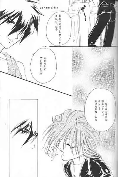 [Youkai Club (Hazuki Younosuke)] Amaryllis (Gundam Wing)