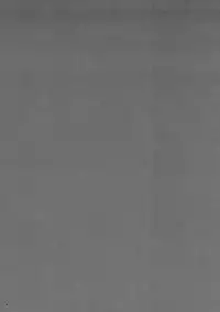 (COMIC1☆13) [Hito no Fundoshi (Yukiyoshi Mamizu)] Kaki Hoshuu 10 [English]