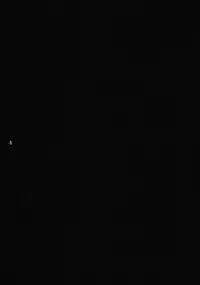 (C68) [Takumi na Muchi] burningblue (ZOIDS Genesis)