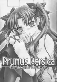 (C73) [Yakan Honpo & Yakan Hikou (Inoue Tommy)] Prunus Persica (Fate/stay night)