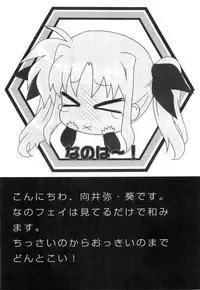 [Anthology] Inran Shoujo LyriNana no Himitsu (Mahou Shoujo Lyrical Nanoha)