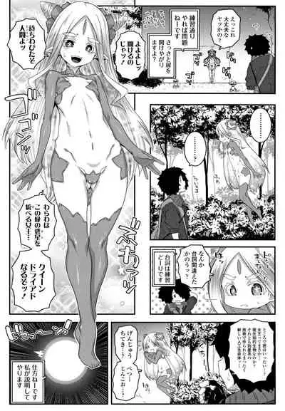 Soutaisei Virgin Theory