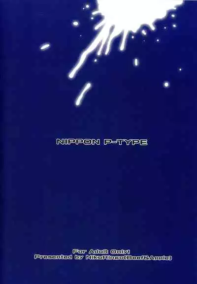 NIPPON P-TYPE