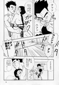 (C53) [Chirigami Goya, Fusuma Goten (Shouji Hariko)] HOHETO (Dragonball)