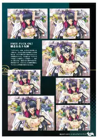 Ikusa Otome Valkyrie 2 Visual Fanbook