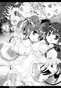 (Reitaisai 10) [Setoran (Itoupeko, Tannopoko)] marriage marriage (Touhou Project)