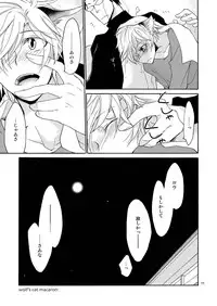 [+10 (Rakuda Torino)] WOLF'S CAT Macaron: [Digital]