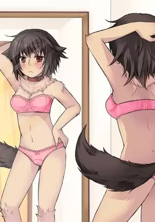 Feminized Sagi and Hero Shoukan