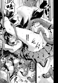 (Reitaisai 14) [Wada Mountain ("Takashi")] Shigensou Kei (Touhou Project) [Chinese] [团子个人汉化]