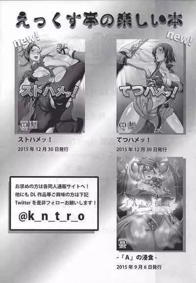 (C89) [X-tei (Kanta.)] St Hame! (Street Fighter)