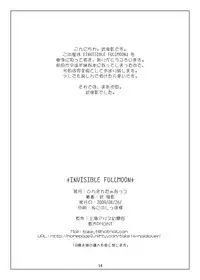 (COMIC1☆3) [Donkin Darnuts (Take Toshiaki)] +INVISIBLE FULLMOON+ (Touhou Project) [Digital]