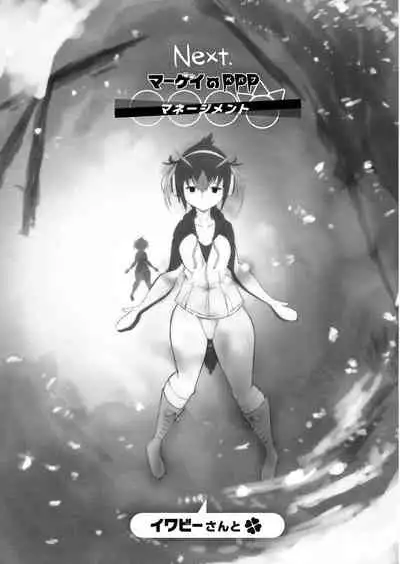 Margay no PPP Management