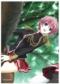 Walkure Romanze Visual Fan Book