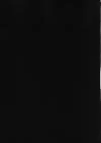 (Reitaisai 14) [Anmitsuyomogitei (Michiking)] ANMITSU TOUHOU HISTORY Vol.2 (Touhou Project)