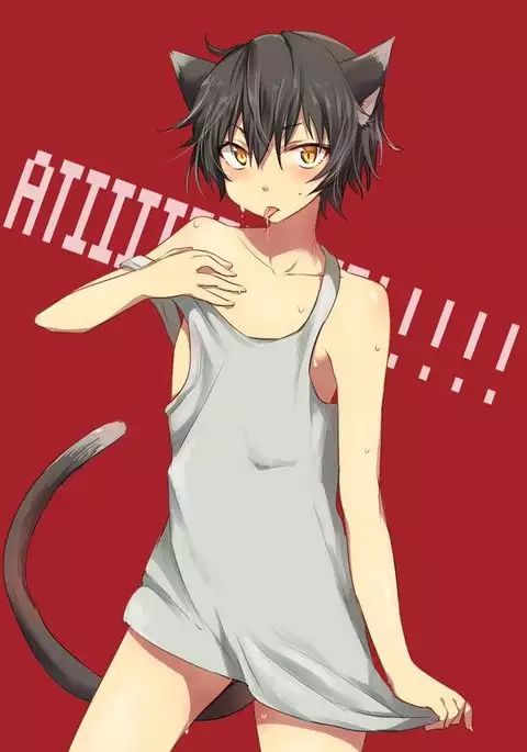 Nora Neko to Rainy Days {Shotachan}