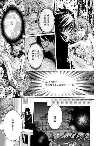 鬼畜兄弟の悶絶調教~私はいいなり奴隷~