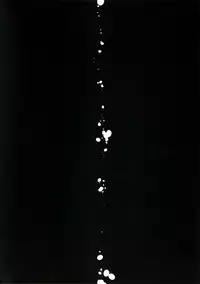 (C88) [PK Gristle (Igumox)] SEX INTERSECT