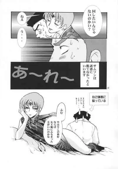 (C60) [Samusobaya (Samusoba Icchou)] SamSoba Icchou (Seikai no Senki)