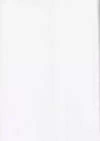 [Digital Lover (Nakajima Yuka)] D.L.action 17 (Ragnarok Online) [English]