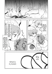 (Reitaisai 13) [02 (Harasaki)] FREAKS OUT! (Touhou Project) [English]