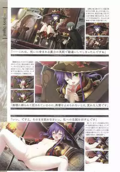 Fuukan no Grasesta Perfect Guidebook