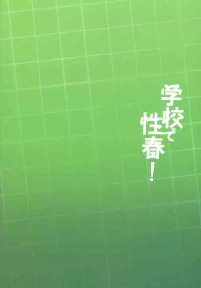 (C97) [OTOMEKIBUN (Sansyoku Amido.)] Gakkou de Seishun! 17 [Chinese] [千易夏河崎個人漢化]