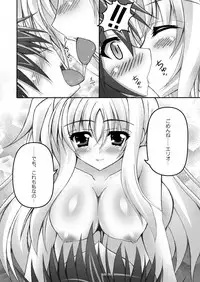 (C80) [chronicle (YUKITO)] FATE COLLECTION II (Mahou Shoujo Lyrical Nanoha)