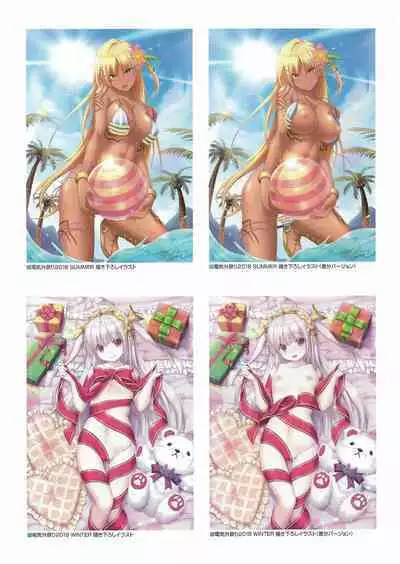 Fuukan no Grasesta Perfect Guidebook