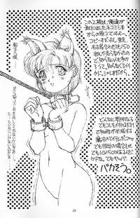 (C45) [Doudan tsutsuji (Doudantsutsuji)] SOLID STATE (various)