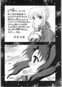 (C66) [DIFFERENT (Various)] Outlet 17 (Fate/stay night)