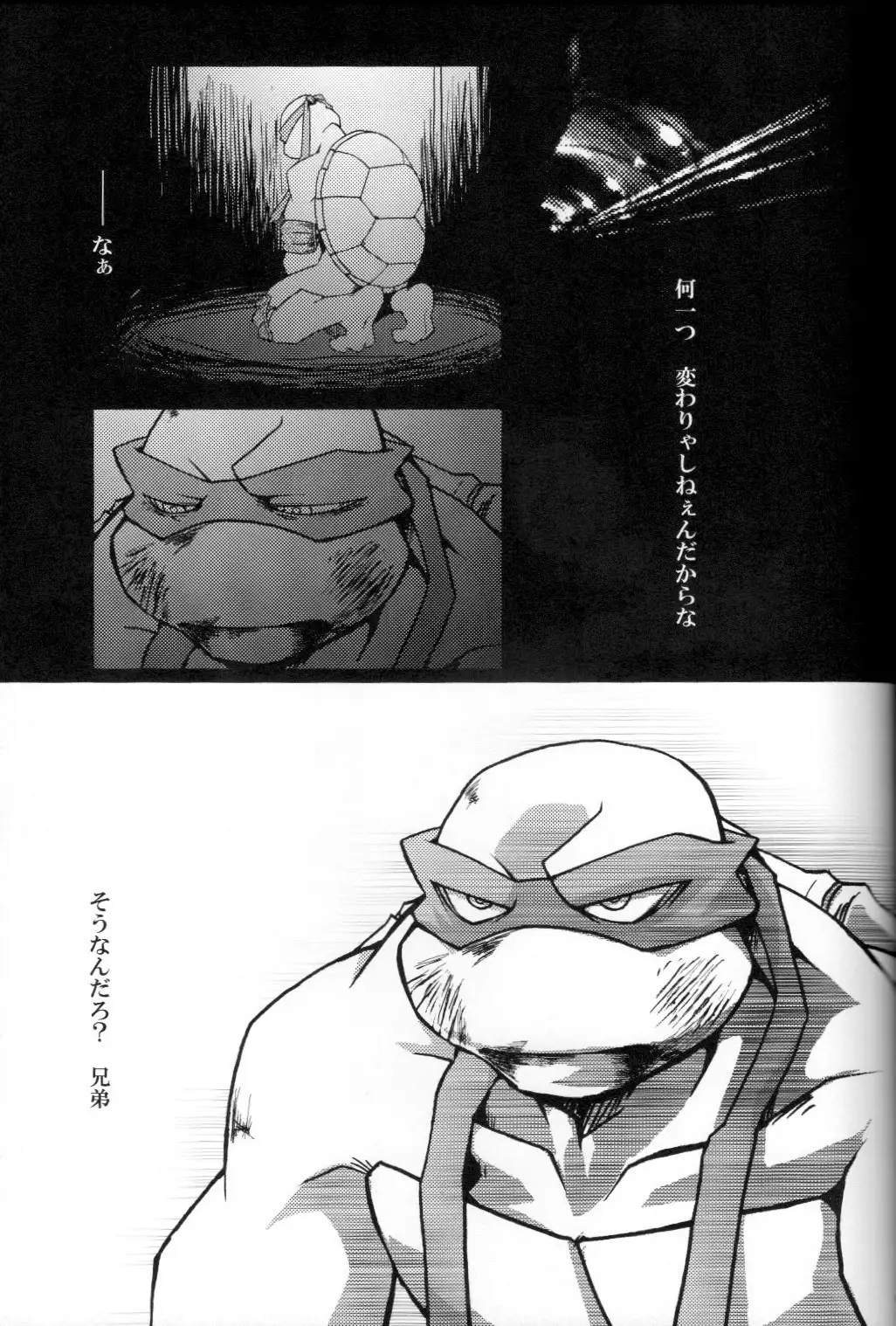 FALLEN - Raph vs Leo - Teenage Mutant Ninja Turtles, TMNT doujinshi