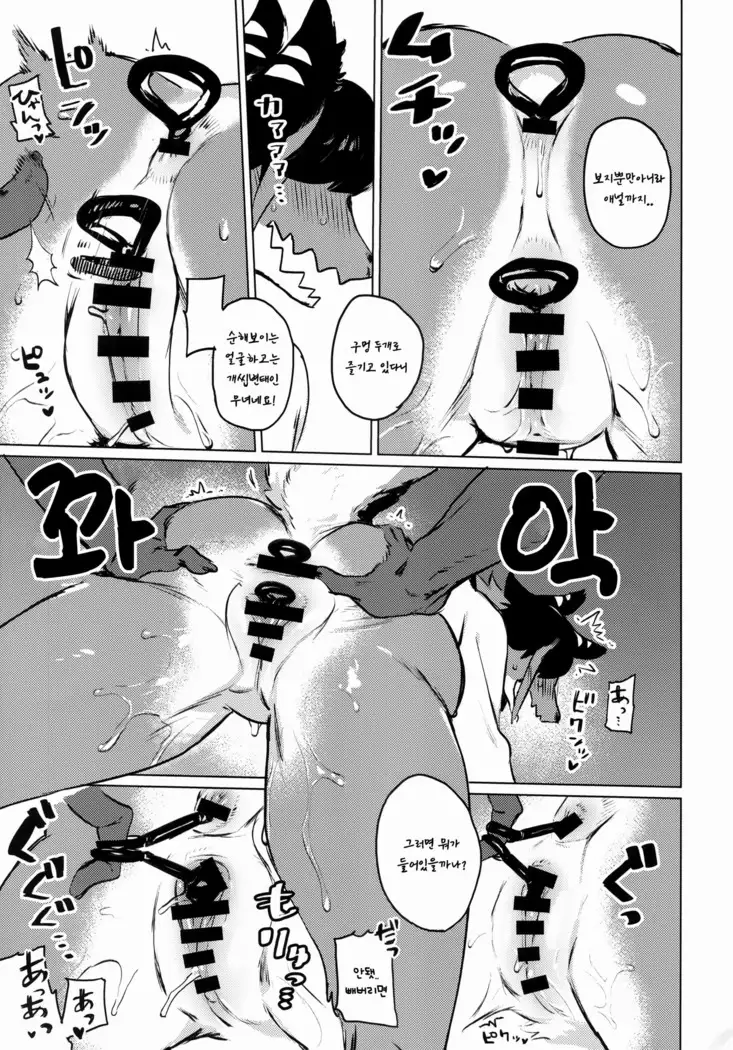 Den-chan no Souiu Hon