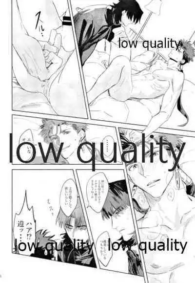 (SUPER26) [Muri Yari (Gibachi)] Hikari no Zou (Fate/stay night)