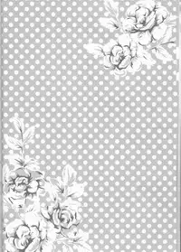 (C75) [Pierre (Garakuta Sochi)] Dream Passport (Naruto)[English] [Squigglesjp]ongoing