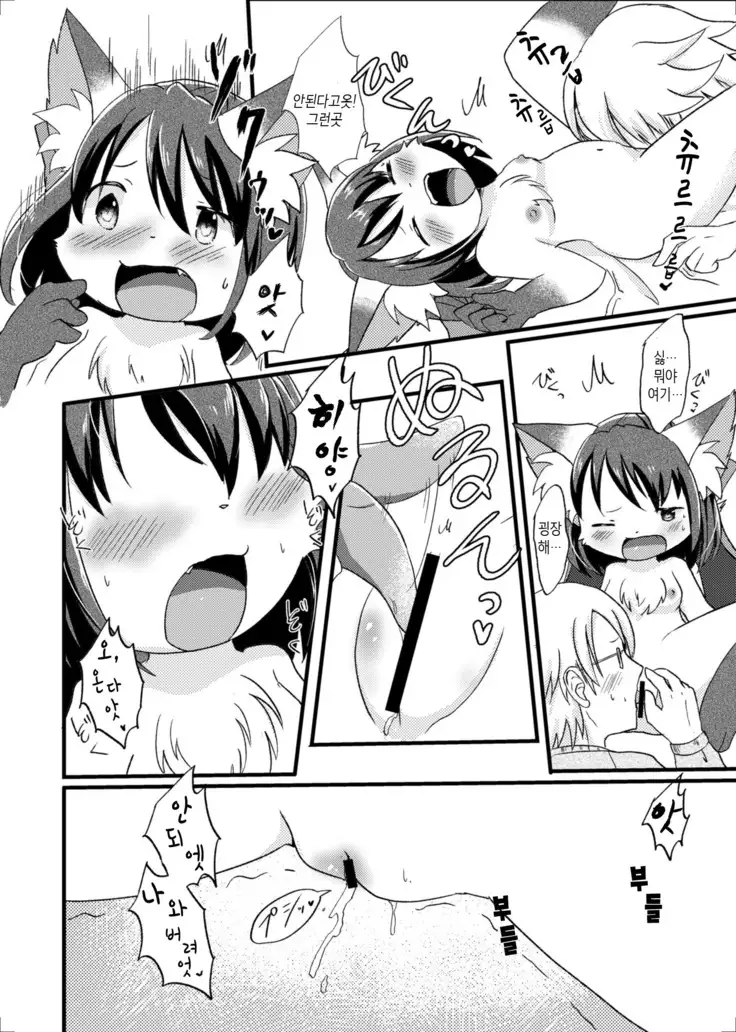 Nekomata no Tamaki-chan