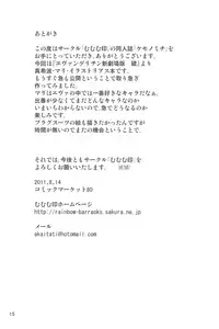 (C80) [Mumumu Jirushi (MUMU)] Kemonomichi (Neon Genesis Evangelion)