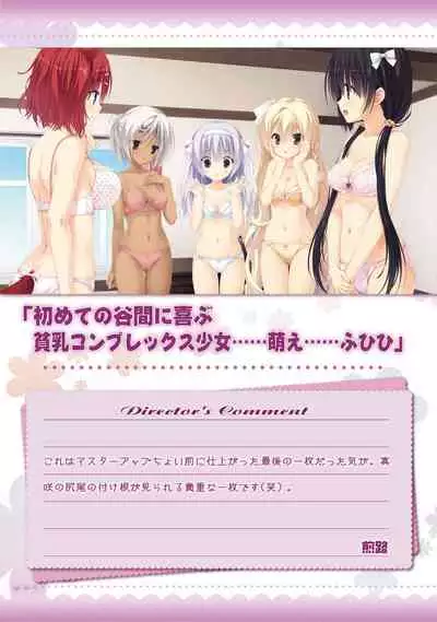 AMAIRO ISLENAUTS OFFICIAL VISUAL FAN BOOK