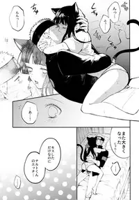 My Sweet Little Kitty