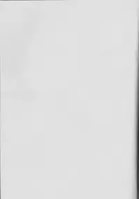 (C91) [AIRMUSICA (Jimo)] honey bunny (B-PROJECT)