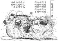 Spring's Blessing (chinese)