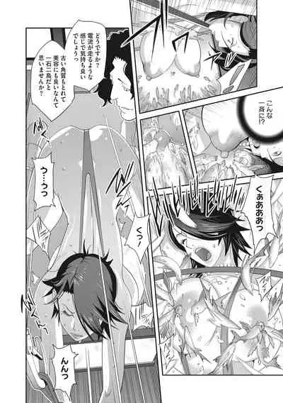 Nyuugyaku no Rudbeckia