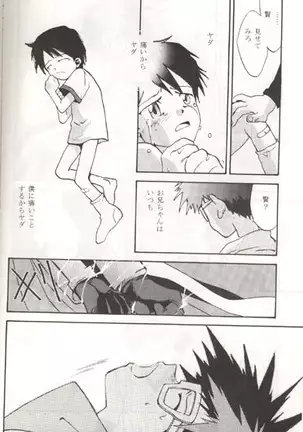 Sayonara Digimon Kaiser R