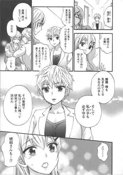 Zettai Harem Vol.7 + Seifuku Harem Settei Artworks Shuu