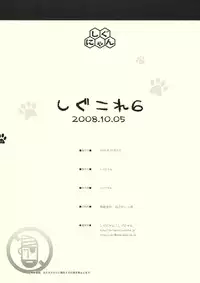 (SC41) [Shigunyan] Shigukore 6 (Zero no Tsukaima)