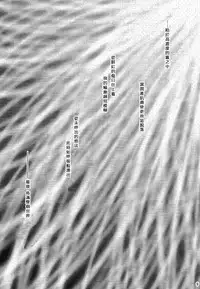 (C69) [AquaDrop (Mikami Mika)] Akahon (Fate/stay night) [Chinese]