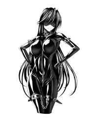 [Sansui (Sen)] Picchiri Suit DIY